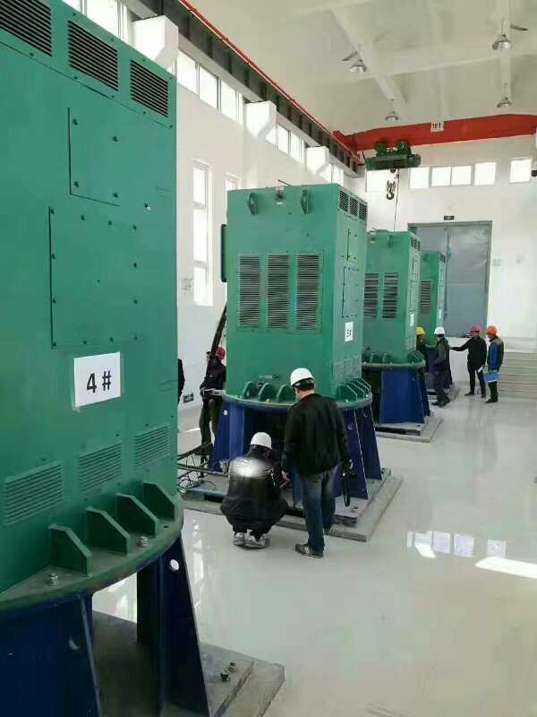 武山某污水处理厂使用我厂的立式高压电机安装现场