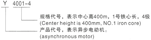 西安泰富西玛Y系列(H355-1000)高压武山三相异步电机型号说明